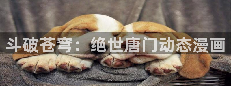 日本漫画歪歪漫画：斗破苍穹：绝世唐门动态漫画